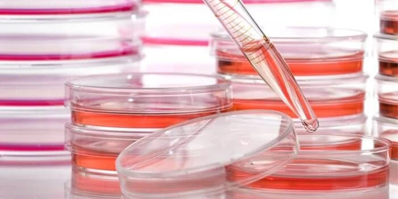 Biocompatibility Biocompatibility